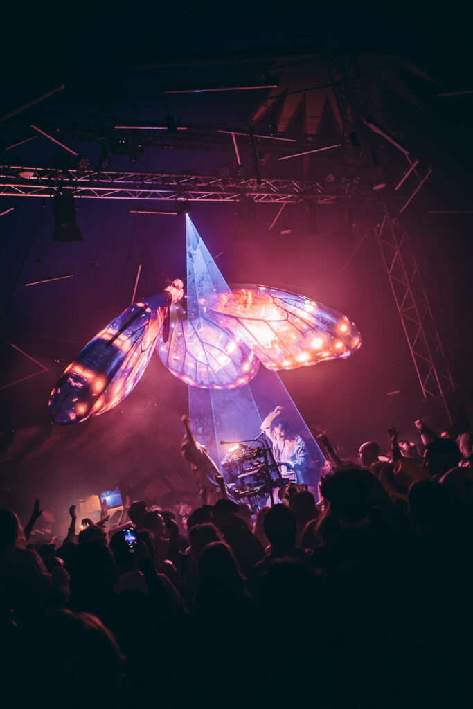 Butterfly Vlinder decoratie huren