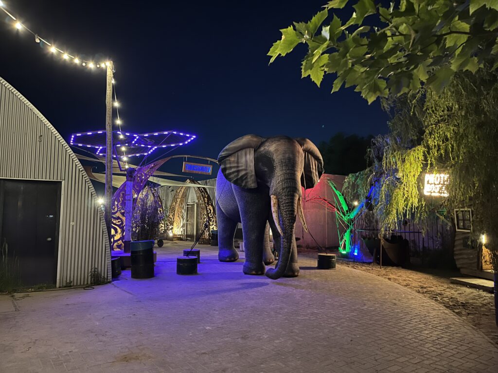 Olifant huren Decoratie